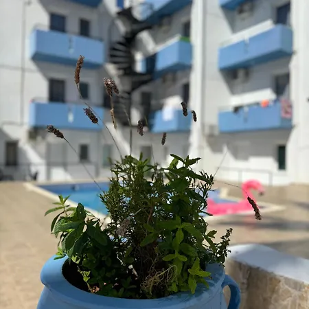 Simple Blue 2* Hersonissos (Crete)